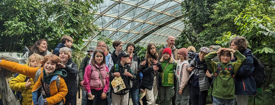 Platanenklasse im Tiergarten Schönbrunn